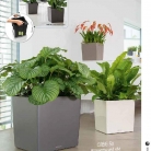 b2b-lechuza-pflanzgefaesse-sortiment-broschuere-de-2018-p083