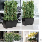 b2b-lechuza-pflanzgefaesse-sortiment-broschuere-de-2018-p085