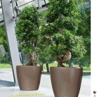 b2b-lechuza-pflanzgefaesse-sortiment-broschuere-de-2018-p091