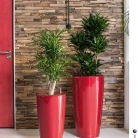 b2b-lechuza-pflanzgefaesse-sortiment-broschuere-de-2018-p093