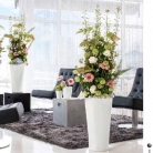 b2b-lechuza-pflanzgefaesse-sortiment-broschuere-de-2018-p095