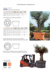 catalog_pb_it-en_22-p26