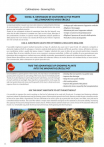 catalog_pb_it-en_22-p50