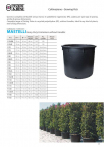 catalog_pb_it-en_22-p59