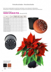 catalog_pb_it-en_22-p82