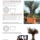 catalog_pb_it-en_22-p26