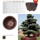 catalog_pb_it-en_22-p39