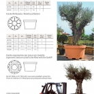 catalog_pb_it-en_22-p41