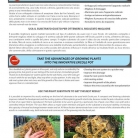 catalog_pb_it-en_22-p50