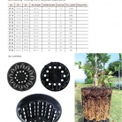 catalog_pb_it-en_22-p51