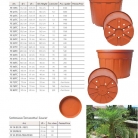 catalog_pb_it-en_22-p54