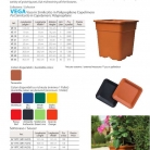 catalog_pb_it-en_22-p64