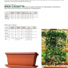 catalog_pb_it-en_22-p75