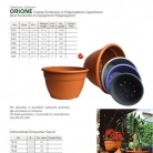 catalog_pb_it-en_22-p78