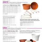 catalog_pb_it-en_22-p81