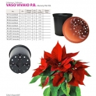 catalog_pb_it-en_22-p82