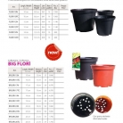 catalog_pb_it-en_22-p83