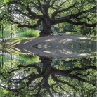 catalog_pb_it-en_22-p88