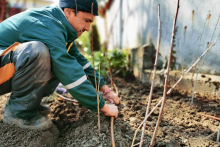 Garden Systems Installer