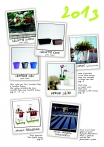 saksii-nikoli-katalog-web_2013-005-005