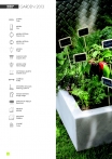 saksii-nikoli-katalog-web_2013-006-006