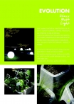saksii-nikoli-katalog-web_2013-009-009