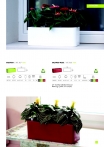 saksii-nikoli-katalog-web_2013-013-013