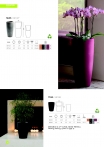 saksii-nikoli-katalog-web_2013-016-016