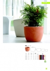 saksii-nikoli-katalog-web_2013-017-017