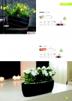 saksii-nikoli-katalog-web_2013-019-019