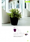 saksii-nikoli-katalog-web_2013-021-021