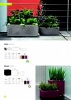 saksii-nikoli-katalog-web_2013-024-024