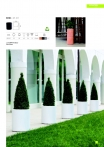 saksii-nikoli-katalog-web_2013-025-025