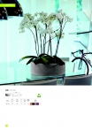 saksii-nikoli-katalog-web_2013-026-026