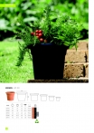 saksii-nikoli-katalog-web_2013-030-030