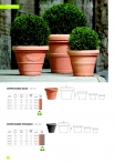 saksii-nikoli-katalog-web_2013-032-032
