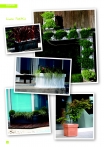 saksii-nikoli-katalog-web_2013-036-036