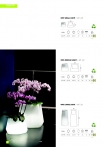 saksii-nikoli-katalog-web_2013-042-042