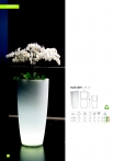 saksii-nikoli-katalog-web_2013-046-046