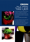 saksii-nikoli-katalog-web_2013-055-055