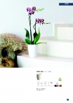 saksii-nikoli-katalog-web_2013-059-059