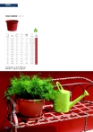 saksii-nikoli-katalog-web_2013-062-062