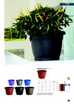 saksii-nikoli-katalog-web_2013-063-063