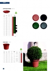 saksii-nikoli-katalog-web_2013-064-064