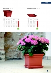 saksii-nikoli-katalog-web_2013-065-065