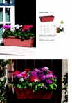 saksii-nikoli-katalog-web_2013-066-066
