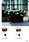 saksii-nikoli-katalog-web_2013-069-069