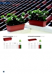 saksii-nikoli-katalog-web_2013-072-072
