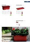 saksii-nikoli-katalog-web_2013-073-073