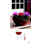 saksii-nikoli-katalog-web_2013-075-075